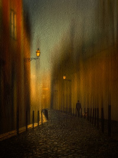 Mysterious Night Alley by Molly Fu APA