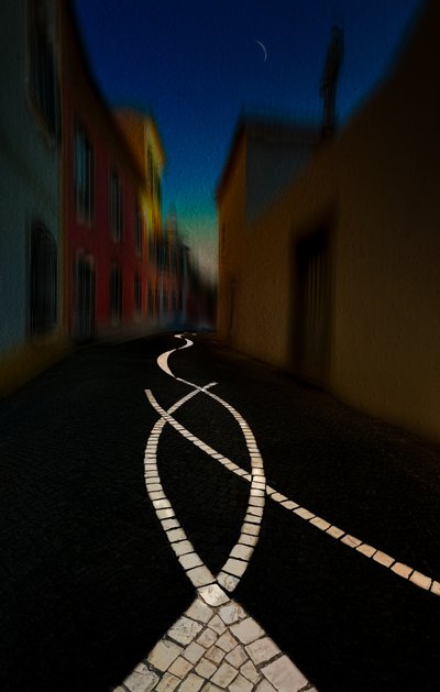 Winding Moonlit Path by Molly Fu APA