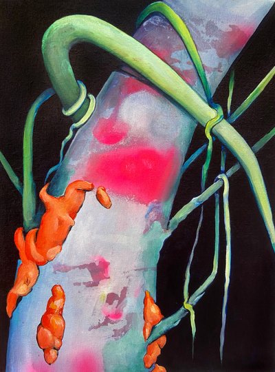 Shielding by Monica Perez Vega