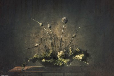 Dark Botanical Still Life by Monique van Velzen