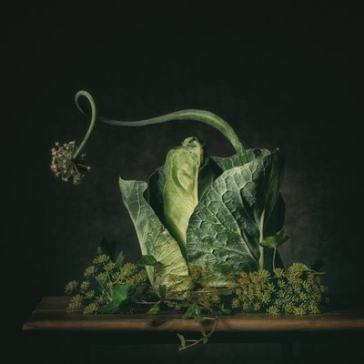 Moody Green Still Life by Monique van Velzen