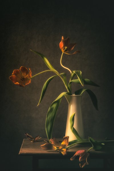 Moody Tulip Still Life by Monique van Velzen