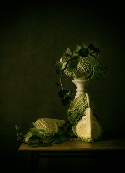 Savoy Cabbage Still Life by Monique van Velzen