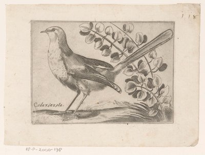Bird by Monogrammist AG