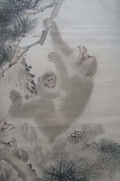 Monkeys in the Pines in front of a Waterfall by Mori Sosen
