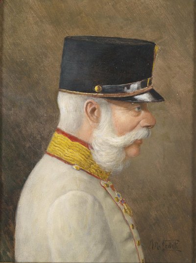 Portrait of Franz Joseph I of Austria by Moritz Ledeli