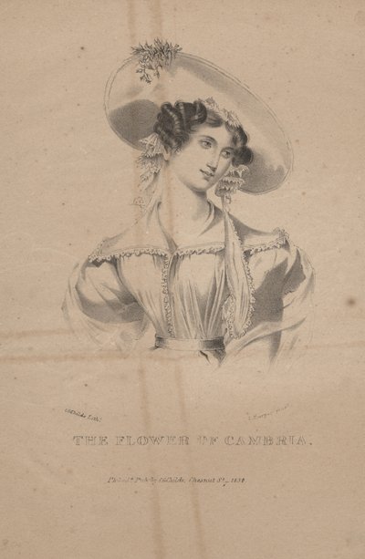 The Flower of Cambria, litho by C.G. Childs by Moses Swett