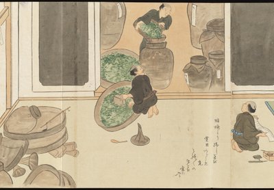 Illustrations of Uji Tea Production by Motonari Sait?