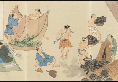 Illustrations of Uji Tea Production by Motonari Sait?