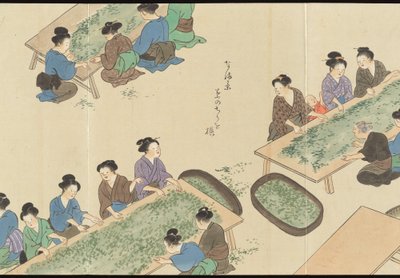 Illustrations of Uji Tea Production by Motonari Sait?