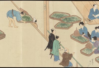 Illustrations of Uji Tea Production by Motonari Sait?