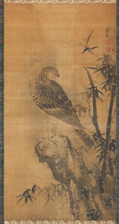 Hawk on a rock by Mu Zhang