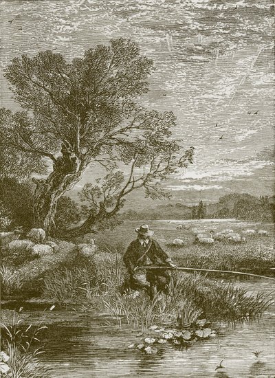 The Angler
