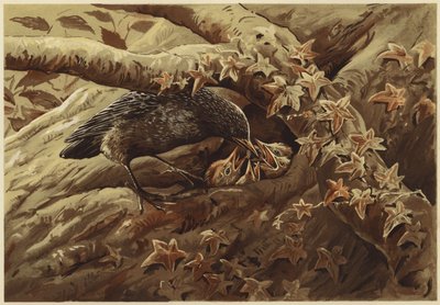 A Noisy Nursery by N. Parker