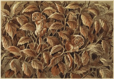 Dorothy, Dick and the Dormouse by N. Parker