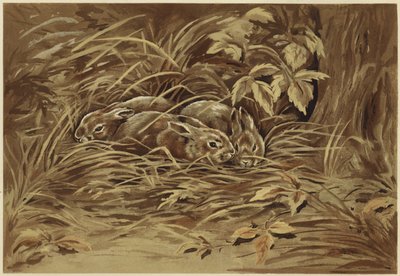 Little Hares by N. Parker