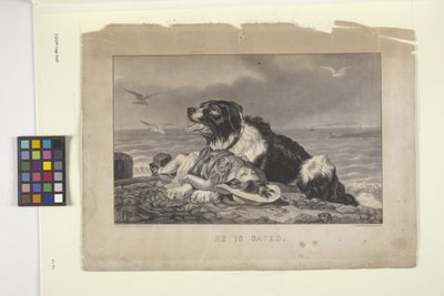 He is Saved by N. and Ives J.M. (1824 95) Currier