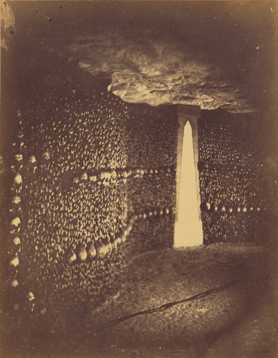Light and Curve by Nadar [Gaspard Félix Tournachon]