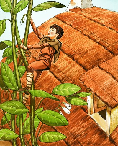 Jack and the Beanstalk by Nadir Quinto