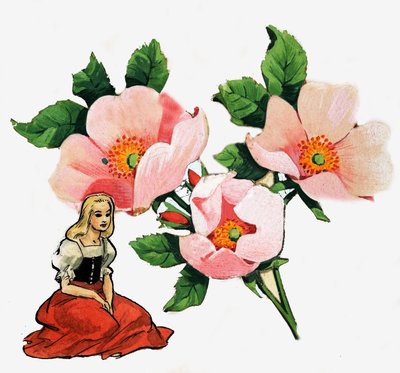 Thumbelina by Nadir Quinto