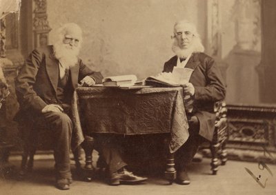William Cullen Bryant and Peter Cooper by Napoleon Sarony