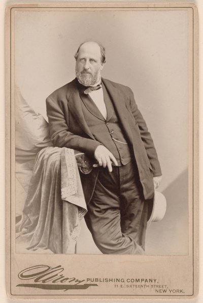 William Marcy Tweed by Napoleon Sarony
