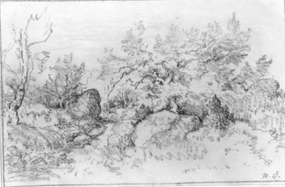 Forest View by Narcisse Virgile Diaz de la Peña