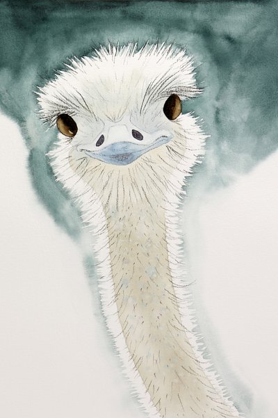The Cheerful Ostrich from Africa by Natalie Bruns