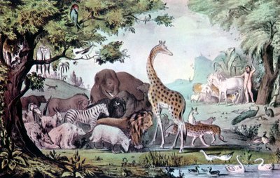 Adam Naming the Creatures by Nathaniel Currier