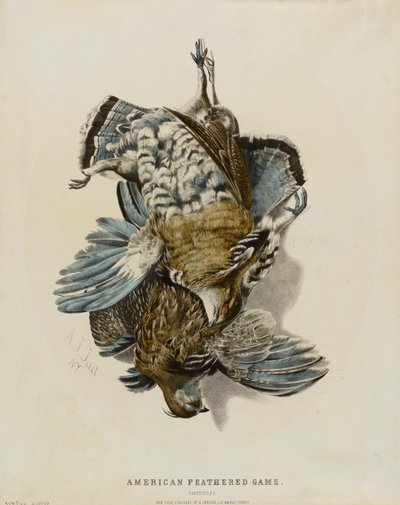 American Feathered Game--Partridges by Nathaniel Currier