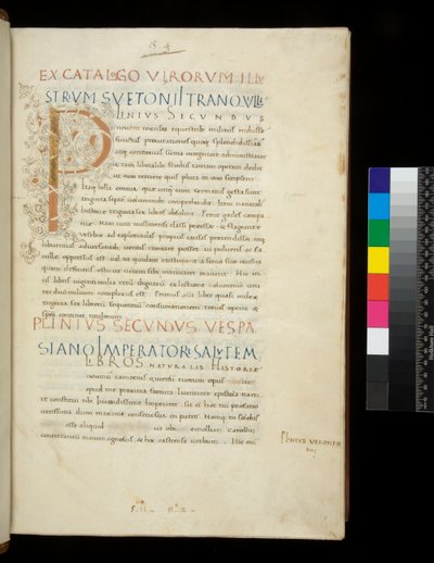 Ms 394.1. Pliny the Elder, Historia Naturalis, f.1r. Illuminated Initial [P] with White Vine-Stem Decoration (unfinished), Naples, mid 15th century, c.1442 by Neapolitan School