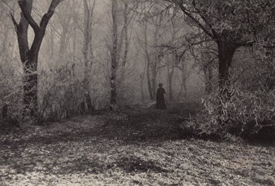 In the Forest of Vienna by Nichol Elliot