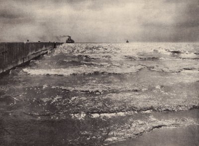 Summer, Lake Ontario by Nichol Elliot