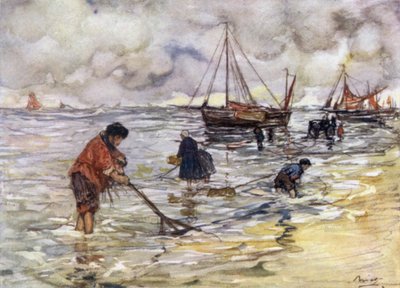 Shrimp-fishing by Nico Jungman
