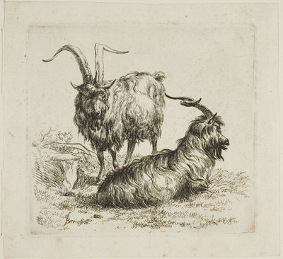 Two Goats with Large Horns (from Various Animals) by Nicolaes Berchem