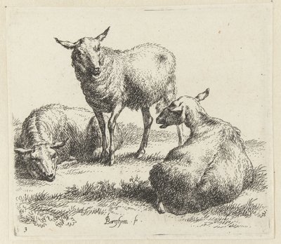 Three Sheep (Animalia ad vivum delineata et aqua forti aeri impressa Studio et Arte Nicolai Berchemi) by Nicolaes Pietersz Berchem