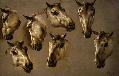 Sketches of Horses