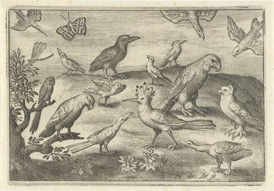 Hoopoe and Other Birds (series title: Birds and Insects) by Nicolaes de Bruyn