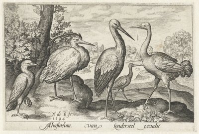 Stork, Crane, Heron, and Spoonbill by Nicolaes de Bruyn