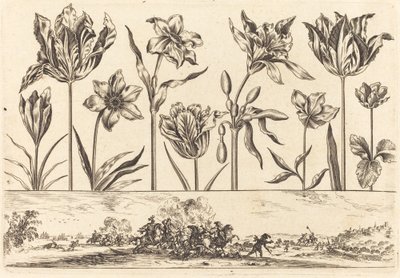 Flower Print No.2 by Nicolas Cochin after Balthasar Moncornet