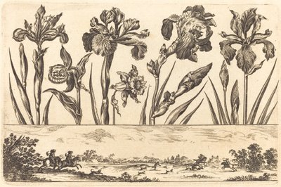Flower Print No.3 by Nicolas Cochin after Balthasar Moncornet