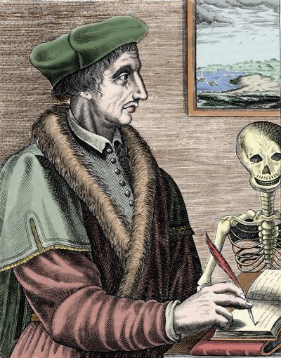 Portrait of Jean Fernel by Nicolas II de Larmessin