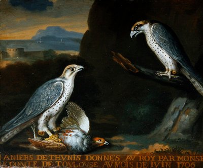 Two gyrfalcons, one clutching a partridge by Nicolas Spheyman