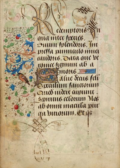 Decorated Text Page by Nicolas Spierinc