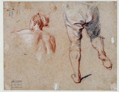 Study of anatomy by Nicolas Vleughels