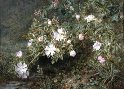 A study of Dog Roses, c.1900 by Niels Pieter Rasmussen