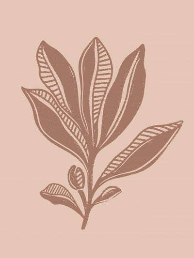 Natural Botanical Drawing by Nikita Jariwala