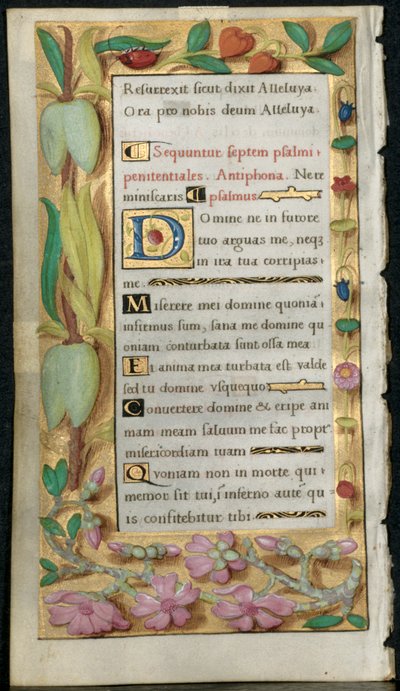 Leaf from a Book of Hours: Penitential Psalms by Noel Bellemare