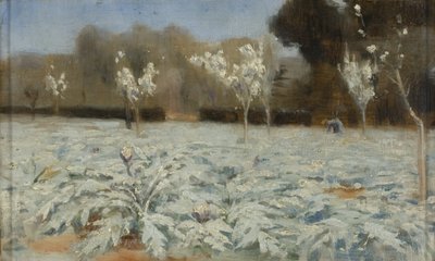 Artichokes, Hyeres by Norman Garstin
