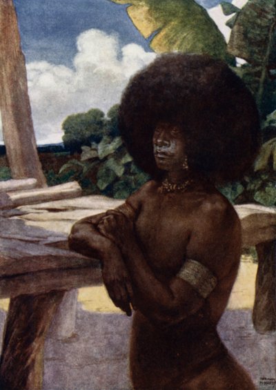Native of British New Guinea, showing the manner of wearing the hair by Norman Hardy